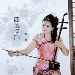 西域情韵 (二胡版)