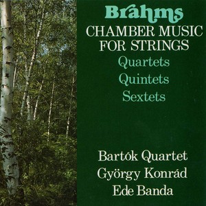 String Sextet No. 1 in B-Flat Major, Op. 18 - String Sextet No. 1 in B-Flat Major, Op. 18: I. Allegro ma non troppo
