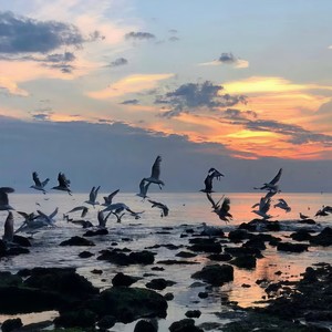 不如见一面-DJA乐