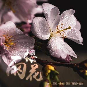 雨樱花封面