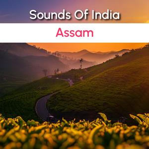 Kolia Daore Junbai (feat. Droopad Bujarbaruah)