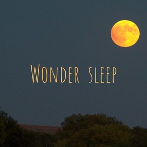 Wonder Sleep