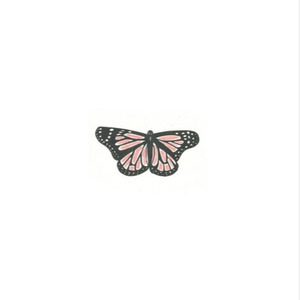 Butterfly封面