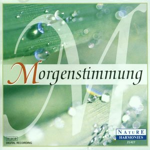 Morgenstimmung - Morning Mood