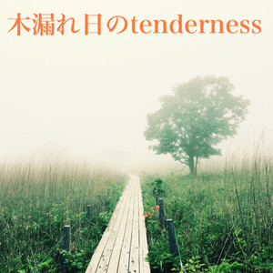 木漏れ日のtenderness