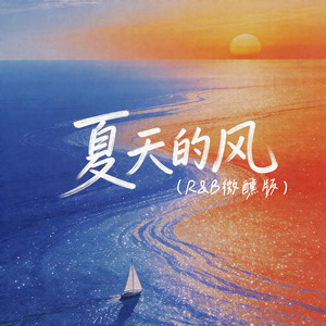 夏天的风 (R&B微醺版)封面
