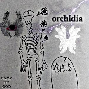 orchidia (feat. cvs) (Explicit)