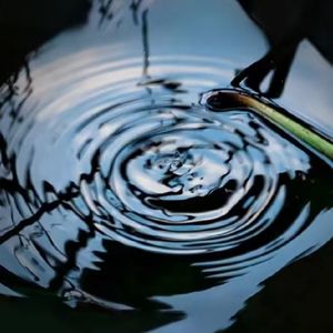 大展宏图山海经