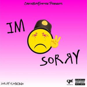 I'm Sorry (Explicit)