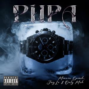 Pupa (feat. Mauru Gwash, JayLo & OnlyMoh) (Explicit)