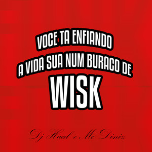voce ta enfiando a vida sua num buraco de wisk (Explicit)