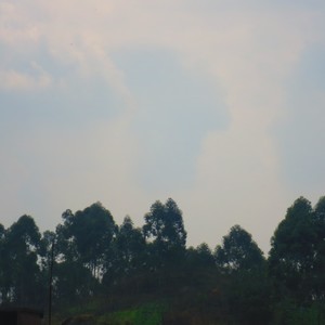 我要的生活 (伴奏)