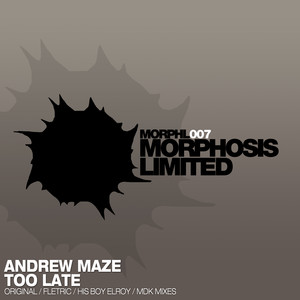 Too Late (MDK Remix)