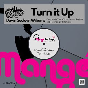 Turn it Up (Chernt Instrumental Remix)