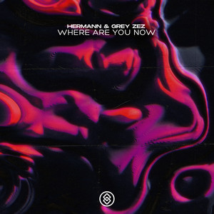 Where Are You Now (Extended Mix)