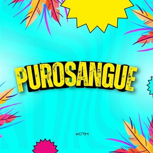Purosangue