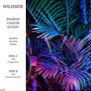 Wildside (Instrumental Mix)