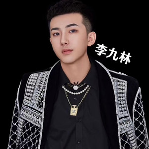 李九林-李九林虎专属dj