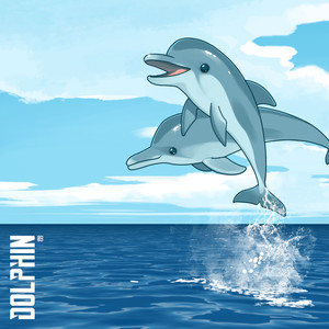 Dolphin