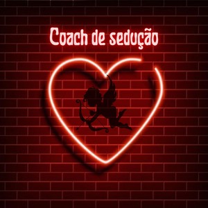 Coach de Sedução