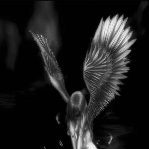 Hard Times (Hoodtrap)