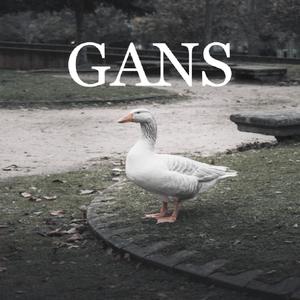 Gans (Explicit)