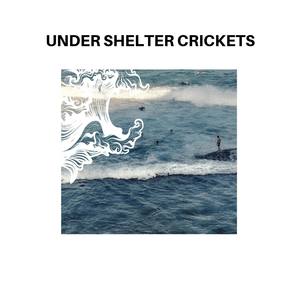 Under shelter Crickets