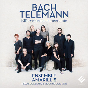 Concerto for Violin, Oboe, Strings and Continuo in C Minor, BWV 1060a - Concerto for Violin, Oboe, Strings and Continuo in C Minor, BWV 1060a: I. Allegro
