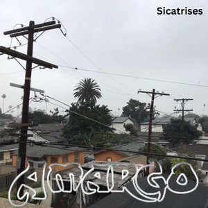 Sicatrises