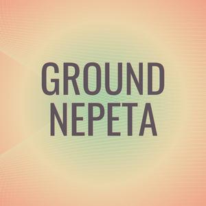 Ground Nepeta