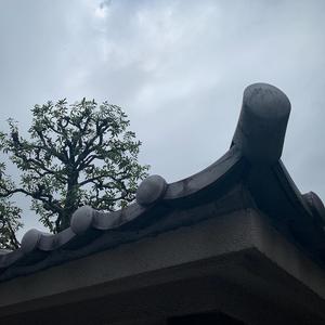 To Say It To Your Face