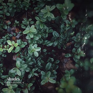 Shades (Remix)