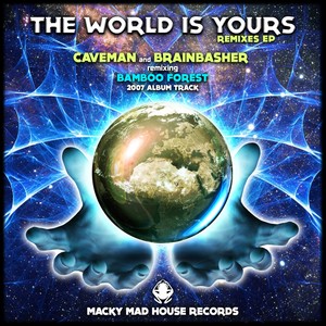 The World Is Yours - 2014 The Remixes