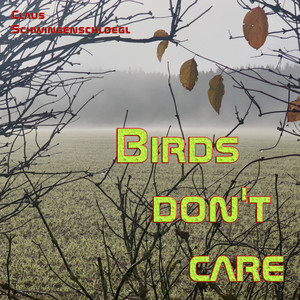 Birds Don't Care