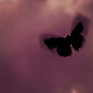 同花顺 (氛围R&B)