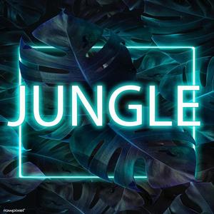 JUNGLE