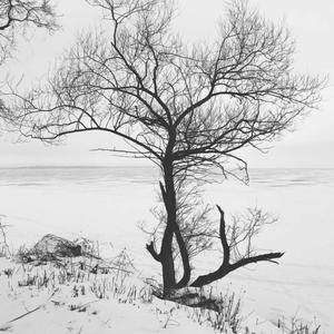 Worried About You(feat. Airrose)