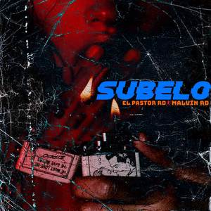 Subelo