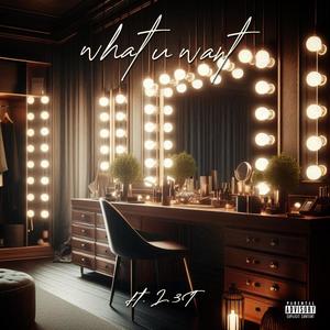 what u want (feat. L3T) [Explicit]