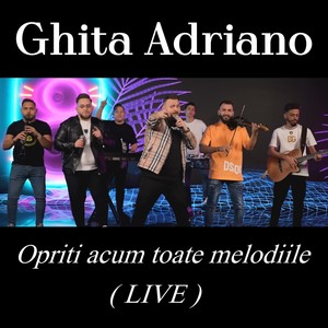 Opriti acum toate melodiile (Live)