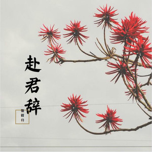 赴君辞