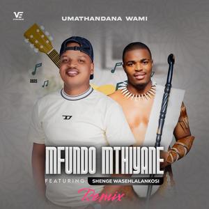 Luyazenzela (New Edition) (feat. Shenge WaseHlalankosi)