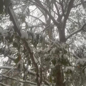 SAY SO/ZEROS! (feat. DIVNIT) (Explicit)