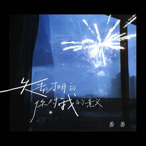 失去才明白你对我的意义-番番