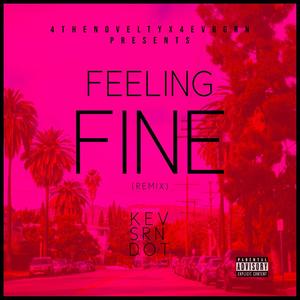 FEELING FINE (feat. SRN & Q DOT) [Explicit]