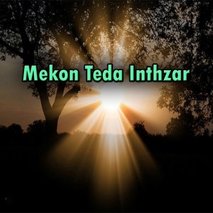 Mekon Teda Inthzar