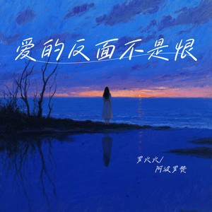 爱的反面不是恨(是不在乎)