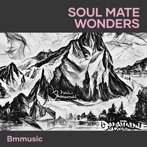 Soul Mate Wonders