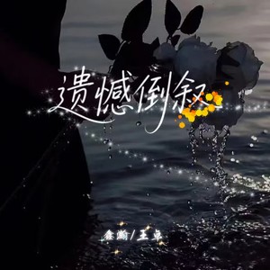 鑫瀚 - 遗憾倒叙 (DJ版)
