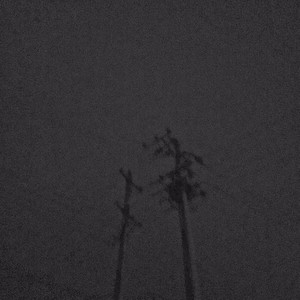 ˢᴼᴿᴿᵞ ᴵ ᶜᴬᴺ'ᵀ ᵀᴬᴷᴱ ᴵᵀ ᴬᴺᵞᴹᴼᴿᴱ